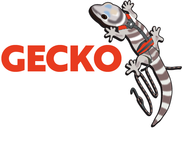 Gecko Rope Access